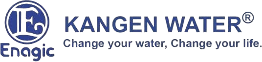 kangenvn.com